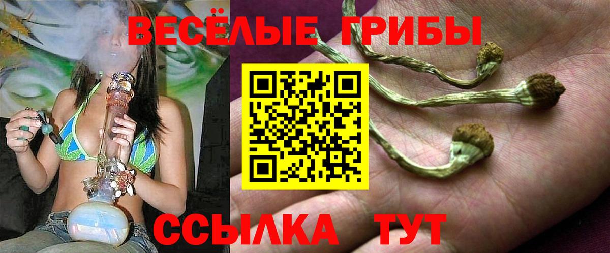 Галлюциногенные грибы ЛСД Тольятти